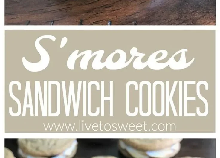 Delicious chocolate chip cookie sandwiches filled with creamy frosting.