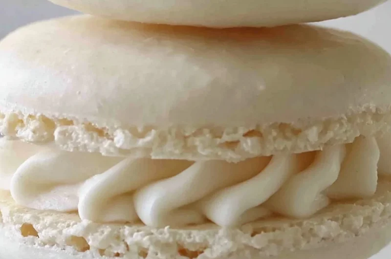 Aquafaba vegan macarons displayed on a plate, colorful and egg-free