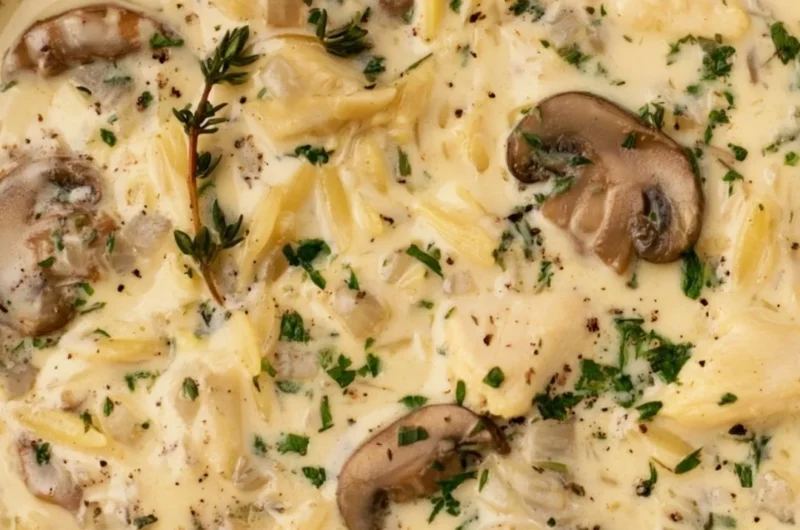 Bowl of creamy chicken soup with Boursin cheese garnished with herbs